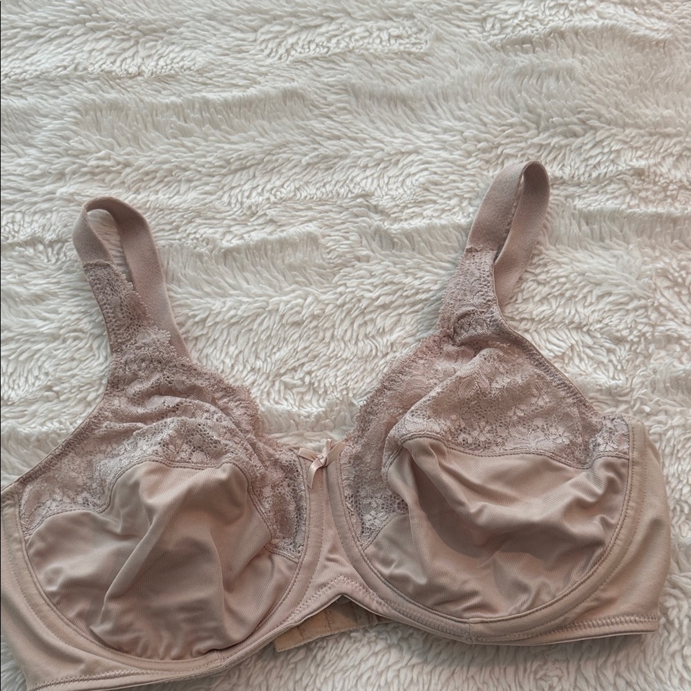 Lilyette Lace Detail Bra in Soft Pink